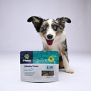 Calming Salmon Skins | Dog & Cat Treats - Paws Treats