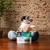 Calming Salmon Skins | Dog & Cat Treats - Paws Treats